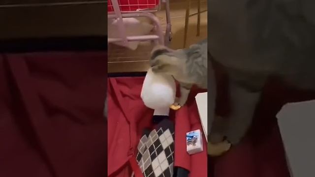 В отпуск собрался