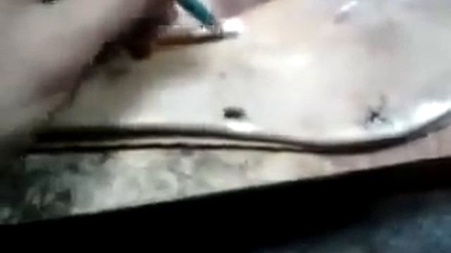 Ремонт обуви смотреть онлайн