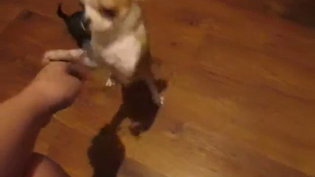 MVI 9391 смотреть онлайн