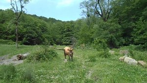 прибытие на поляну Колихо в верховьях реки Агой