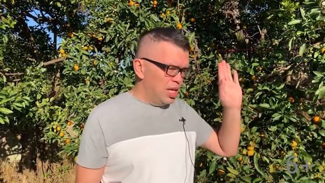 Как придумать название для образовательного канала | Где брать идеи для канала