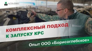 Комплексный подход к запуску КРС_ опыт ООО _Борисоглебское