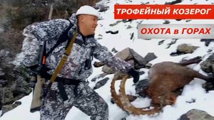 Добыт Трофейный козерог! Тяжелый трудовой трофей. Охота в горах.
