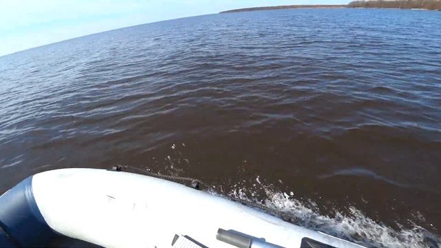 Ловим на поплавок в запрет! Нереальный клев! смотреть онлайн