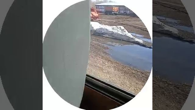 домоооооой