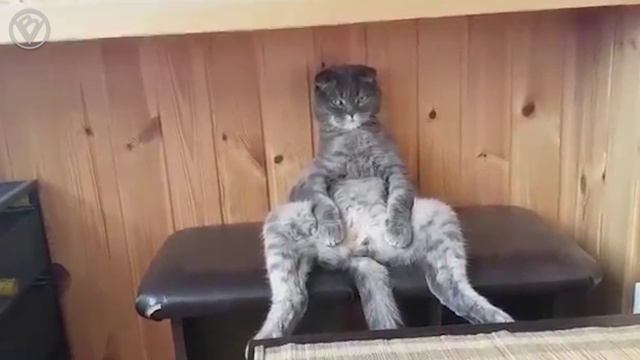 Когда офигиваешь от происходящего в твоего жизни 😒
