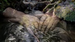 Кевсар Тагирова, Бав