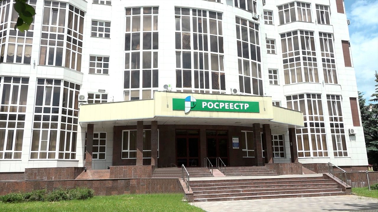 В процедурных вопросах банкротства помогает разобраться эксперт Росеестра