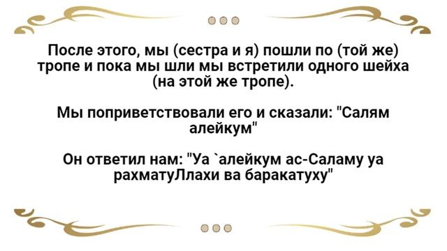 Сон мусульманки. смотреть онлайн