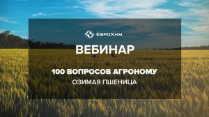 ИНТЕРАКТИВНЫЙ ВЕБИНАР "100 ВОПРОСОВ АГРОНОМУ. ОЗИМАЯ ПШЕНИЦА."