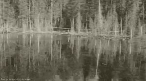 ЭКОЛОГИЯ.mp4