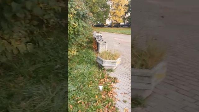 Мистическая ловушка смотреть онлайн