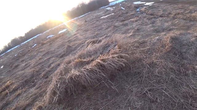 Гусь 2019, Маскировка , Чучела, Манок. смотреть онлайн