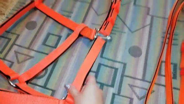 Уздечка и недоуздок на лошадь. Оранжевого цвета. смотреть онлайн