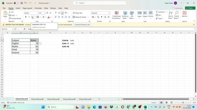 Learn Excel Series Free - Font Group Functions #2 смотреть онлайн