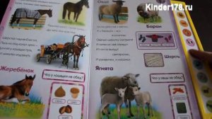 Музыкальная книга "Домашние друзья" Нажми – мы говорим. Азбукварик. Видео-обзор