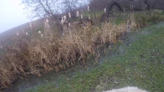 Охота.в поисках дичи смотреть онлайн