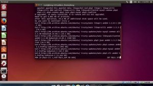 To install orangeHRM system on Ubuntu linux