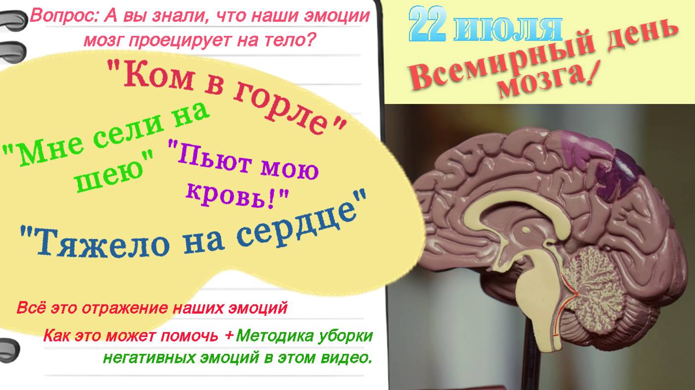 Проекции эмоций в нашем теле - причины болезней или шаг к исцелению? Метод уборки негативных эмоций.