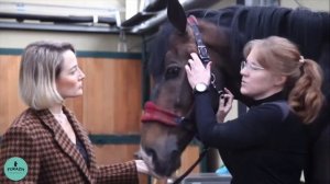 Елена Кудина:: Особенности подбора оголовья/уздечки