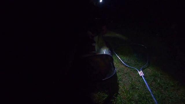 ТРОФЕЙНАЯ РЫБАЛКА В МОСКОВСКОЙ ОБЛАСТИ смотреть онлайн