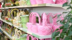 Большой садовый центр на 16-ой Парковой (Москва): комнатные растения