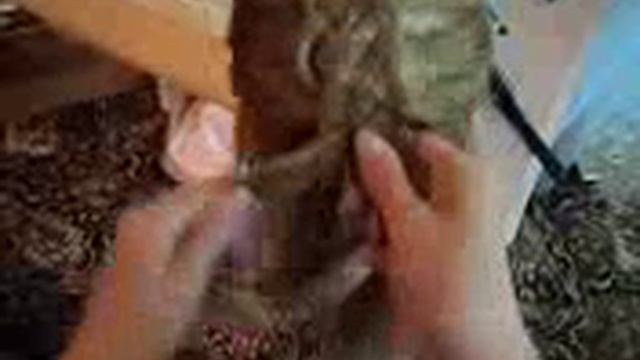 уроки плетения французских косичек   YouTube