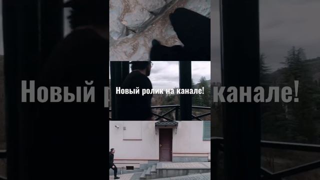 Съездили в Ботанический сад в Тбилиси. Спонтанно получилось видео про любовь к природе. #грузия