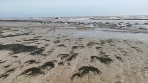 Геническ ??? Шторм на Азовском море ???26-02-2024