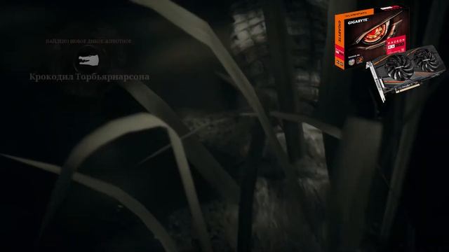 Как Правильно Экономить При Сборке ПК смотреть онлайн