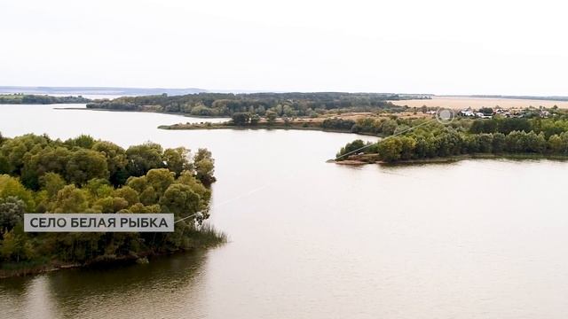 Залив Белая рыбка / Тургеневский в Ульяновской области