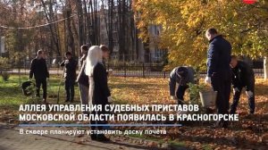 КРТВ. Аллея управления судебных приставов Московской области появилась в Красногорске