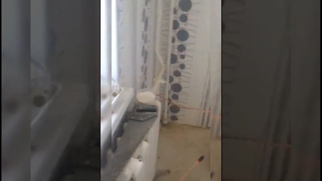 сантехника стяжка наливной пол шпаклёвка обои ламинат