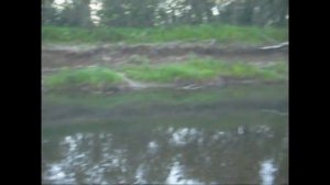 Сплав 2016. Река Уса и её притоки Сейда и Заострённая. Часть 9.В низ по Заострённой.