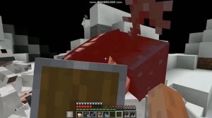 Кто лучше: собака или кошка в майнкрафт?