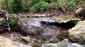 Медитация на воду. Журчание ручья. Наполнись энергией стихии воды.