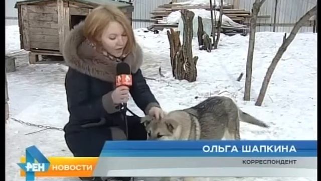 Двуногие – четырёхлапым смотреть онлайн