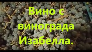 Виноградное вино с Изабеллы.