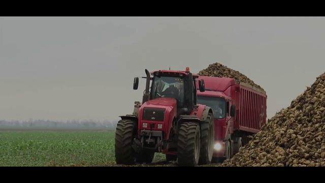 Вот это хит.mp4 смотреть онлайн