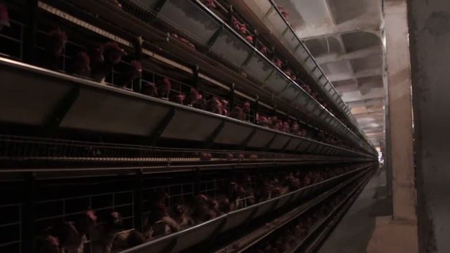 В рубрике «Трудовые будни» о работниках ОАО «Спутник». смотреть онлайн