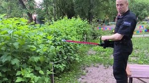 Greenworks GD60HT66 аккумуляторный кусторез. (5.06.24)