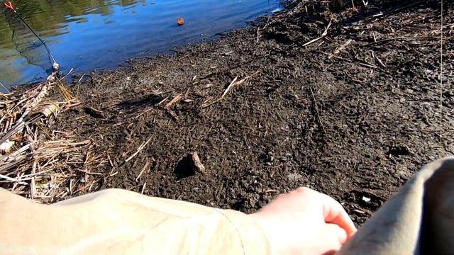 Озеро Белужье. Весенний карась. Рыбалка в Оренбургской области. смотреть онлайн