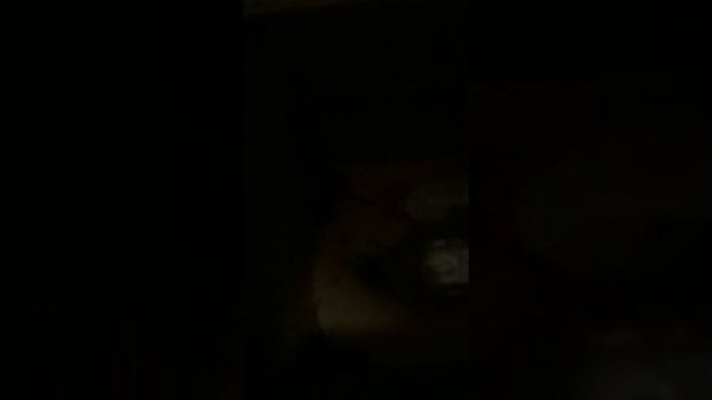 Мышкин Дом. смотреть онлайн