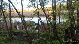 Они совсем не боятся людей черное озеро в Ульяновске