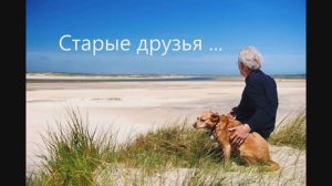 193 Мелодия Поезд из кф Белый Бим Чёрное Ухо