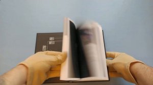 Большая книга ФНАФ. Гайд по культовой вселенной