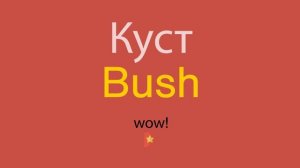 Куст по-английски