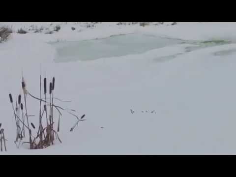 За городом #instavideo