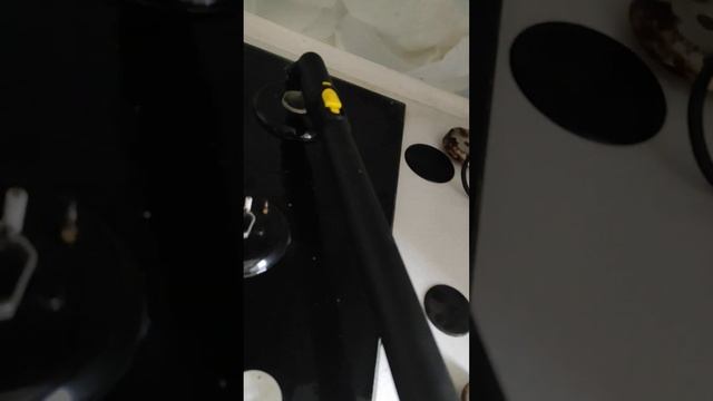 очень полезная вещь ! вещь для дома пароочиститель KARCHER ? смотреть онлайн