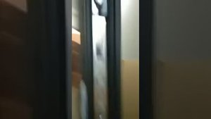Гарда Муар 8 мм Венге. Обзор входной двери бюджетного уровня.